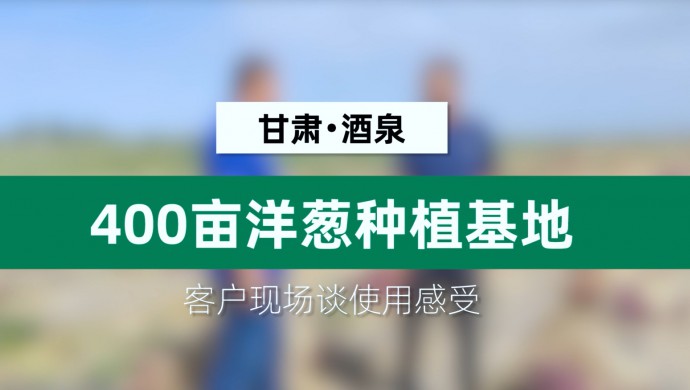 甘肃酒泉400亩洋葱种植基地客户现场谈使用感触