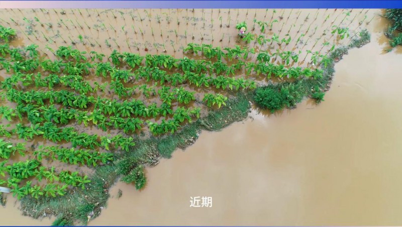 J9集团节水：严兵秣马，共筑防汛抗旱樊篱